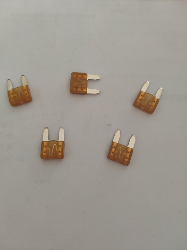 12050031  MINIFUSE 5A